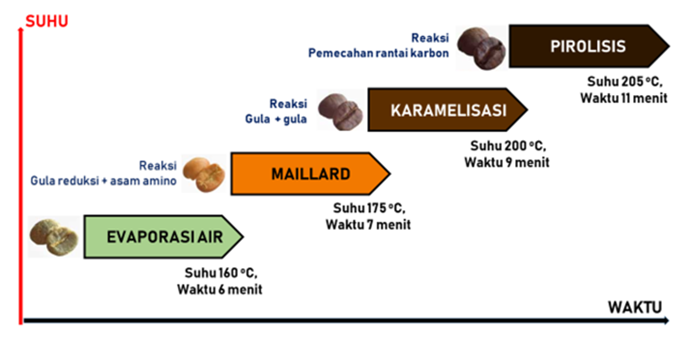 Perubahan Fisis Dan Kimiawi Biji Kopi Selama Penyangraian Coffee Cacao Training Center